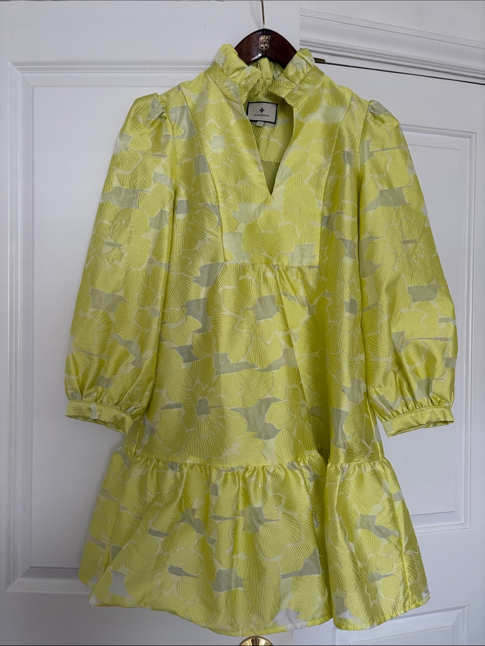 TUCKERNUCK CItron Fil Coupe Palmerston Dress